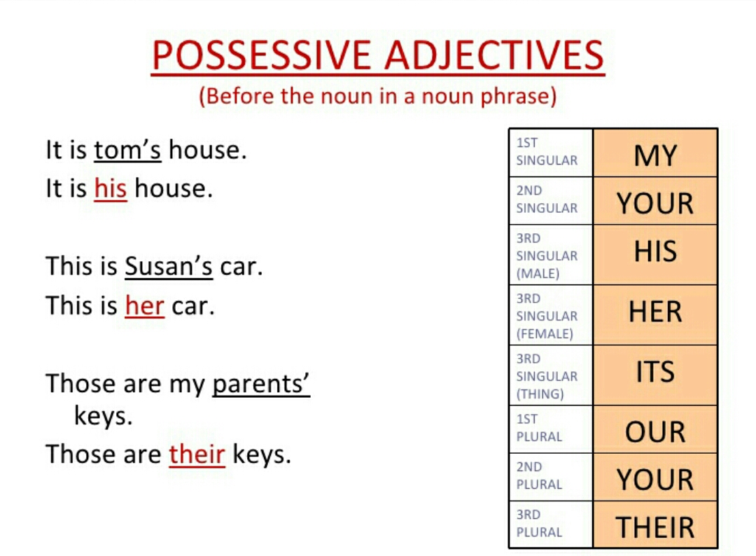 Wordwall spotlight 3 13a. Possessive adjectives. Possessive adjectives таблица. Притяжательные местоимения в английском языке. Possessive pronouns в английском языке.