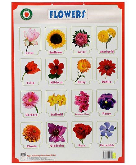 some flowers name | English For Life