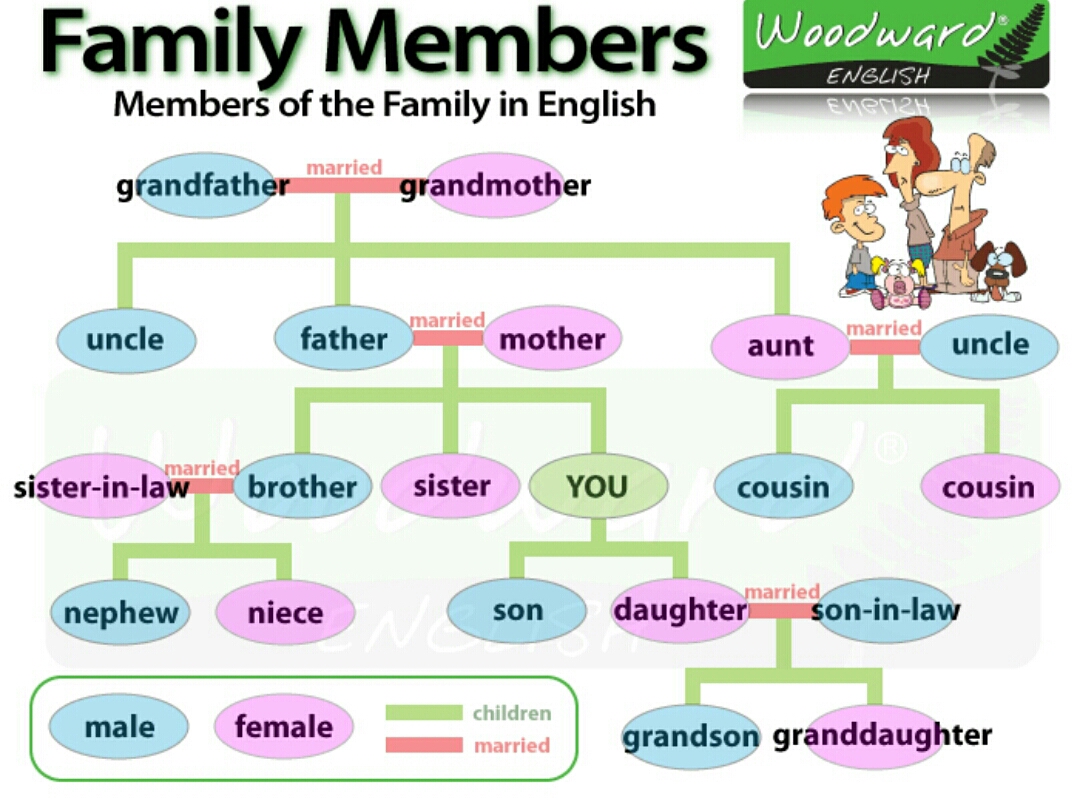 La familia семья vocabulario